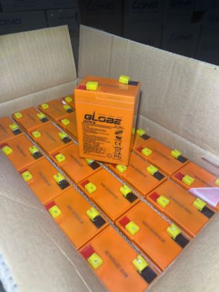 ẮC QUY KÍN KHÍ (VRLA AGM) GLOBE 6V-5AH (20HR), WP5-6, F1