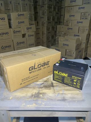 ẮC QUY KÍN KHÍ (VRLA AGM) GLOBE 12V-12AH (20HR), WP12-12SE, F2