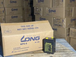 ẮC QUY KÍN KHÍ (VRLA AGM) LONG 6V-5Ah (20HR), WP5-6, F1