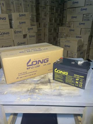 ẮC QUY KÍN KHÍ (VRLA AGM) LONG 12V-12Ah (20HR), WP12-12BT, F3-M5