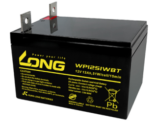 ẮC QUY LONG AGM 12V 51WPC (1.60VPC, 15Min), Model: WP1251WBT