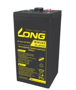 ẮC QUY KÍN KHÍ (VRLA AGM) LONG 2V-265AH (10HR), MSK265, F18-M8