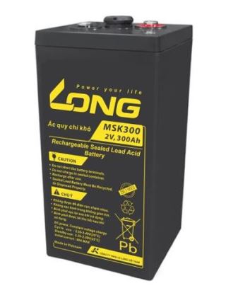 ẮC QUY KÍN KHÍ (VRLA AGM) LONG 2V-300AH (10HR), MSK300, F18-M8