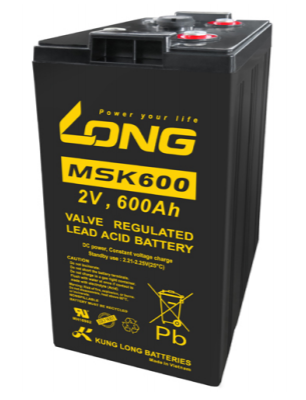 ẮC QUY KÍN KHÍ (VRLA AGM) LONG 2V-600AH (10HR), MSK600, F18-M8
