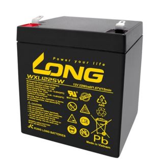 ẮC QUY KÍN KHÍ (VRLA AGM) LONG 12V-23WPC-1.67VPC-15Min, WXL1225W, F2