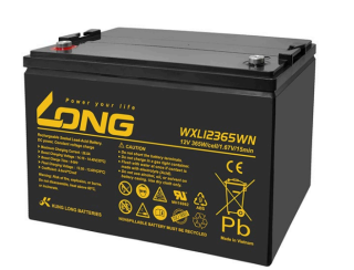 ẮC QUY KÍN KHÍ (VRLA AGM) LONG 12V-365WPC-1.67VPC-15Min, WXL12365WN, F8-M6