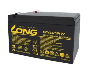 ẮC QUY KÍN KHÍ (VRLA AGM) LONG 12V-51WPC-1.67VPC-15Min, WXL1251W, F2